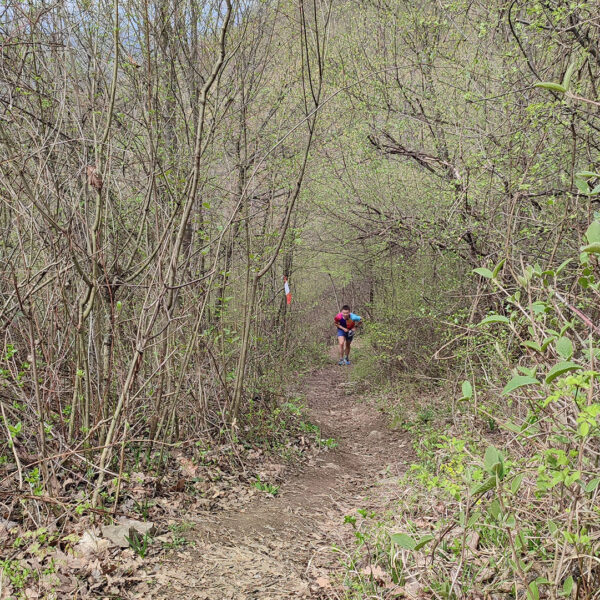 IMG_20240331_113600