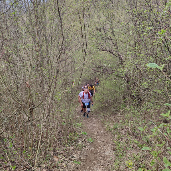 IMG_20240331_114451