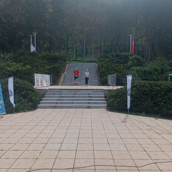 IMG_20240331_133143