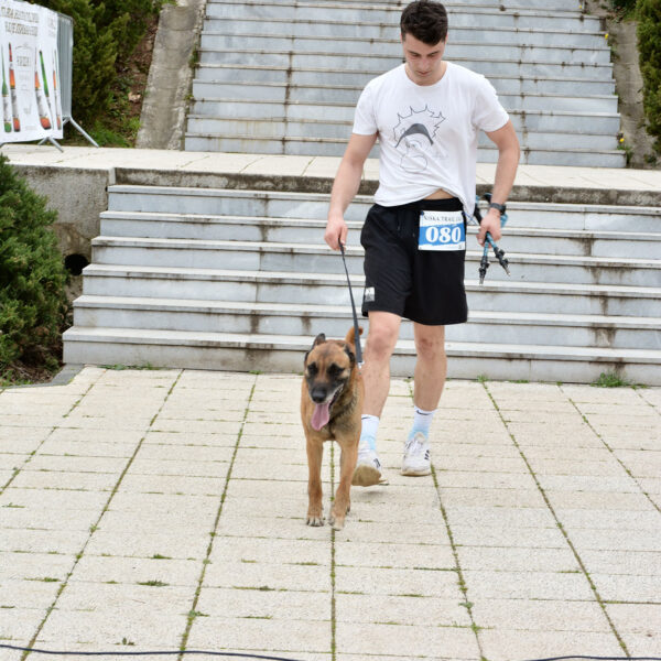 MDJ_0186